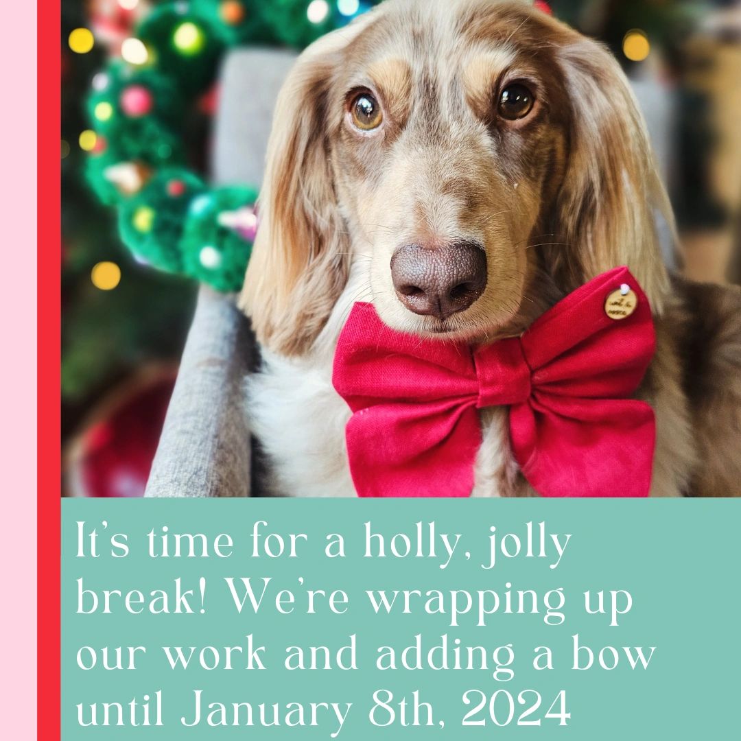 Parker and Bovey flowers Brisbane Florist, Same Day Delivery, Flowers